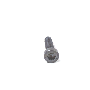 N98925801 Seat Belt Lap and Shoulder Belt Bolt (Front, Lower)